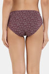Zivame Low Rise Full Coverage Bikini Panty (Pack of 3) - Multicolor — thumbnail 11